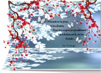 /album/galerie-photos/ecoute-jpg1/